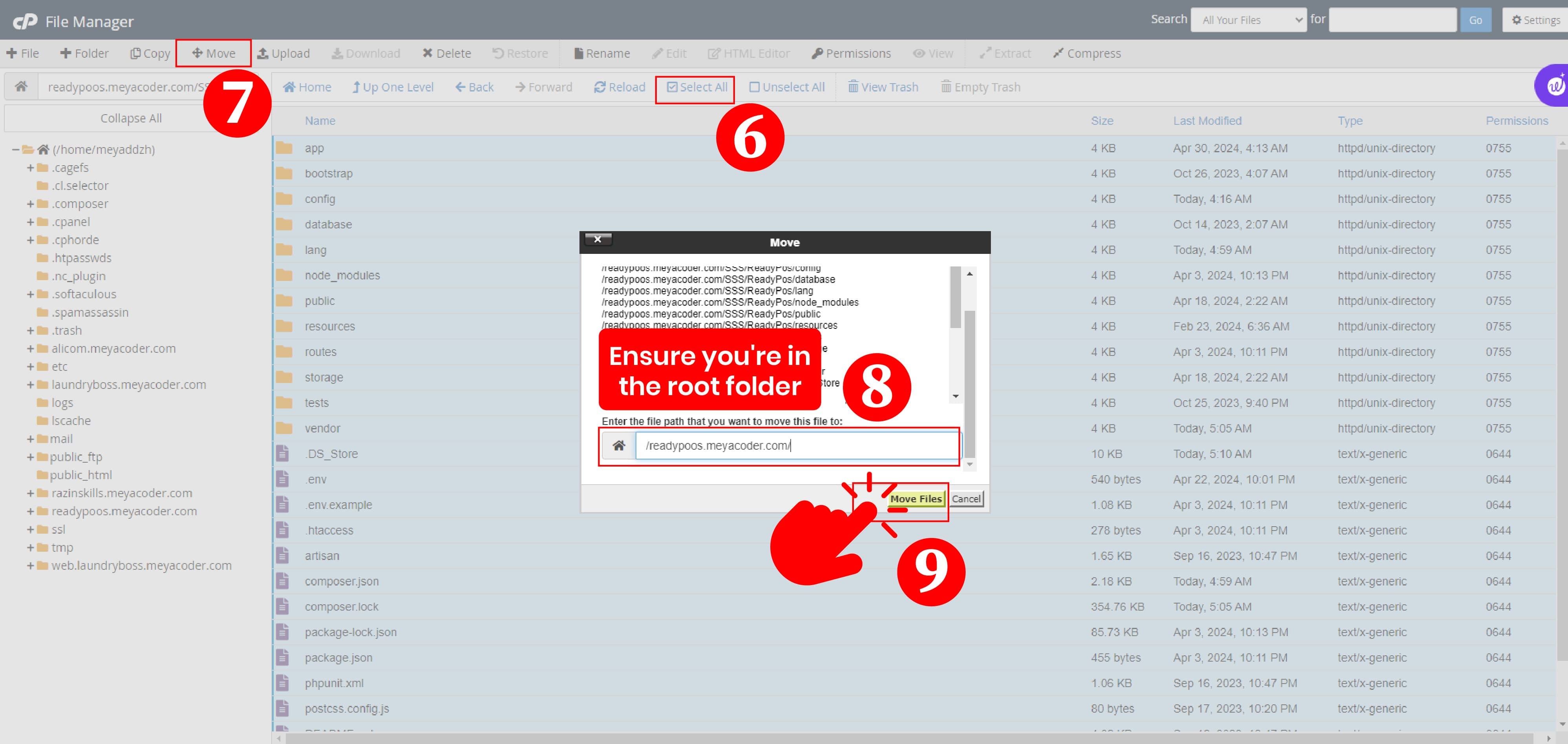 Move extracted files to domain root
